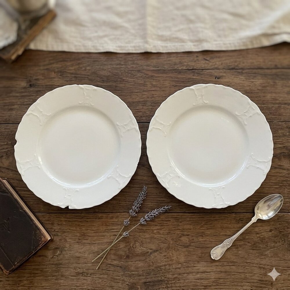 Antique Haviland Limoges France Plates Set of 2 Embossed White 1888–1896 - 9.75"